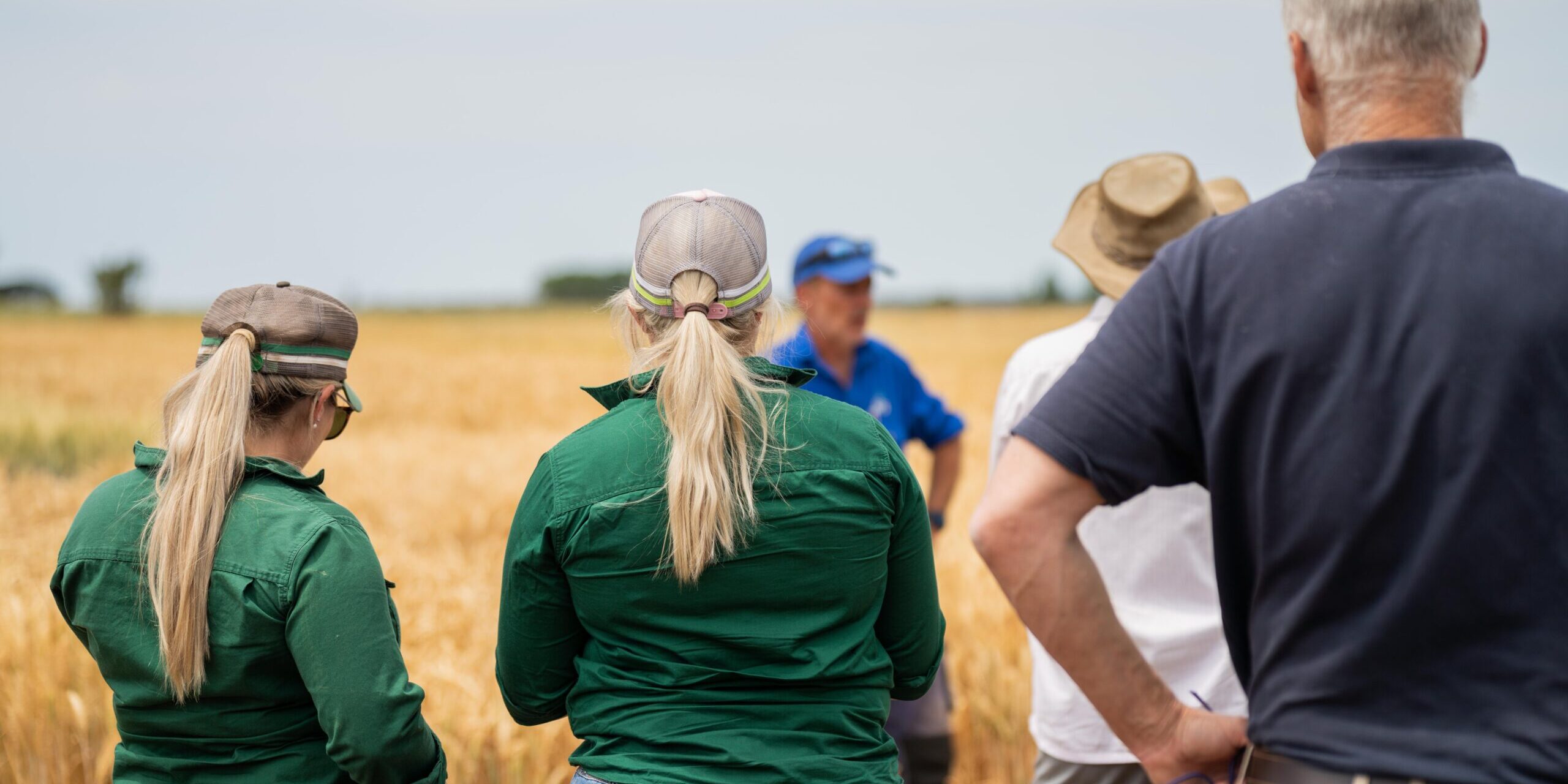 regenerative organic farmer, learning about cereal crops and loo