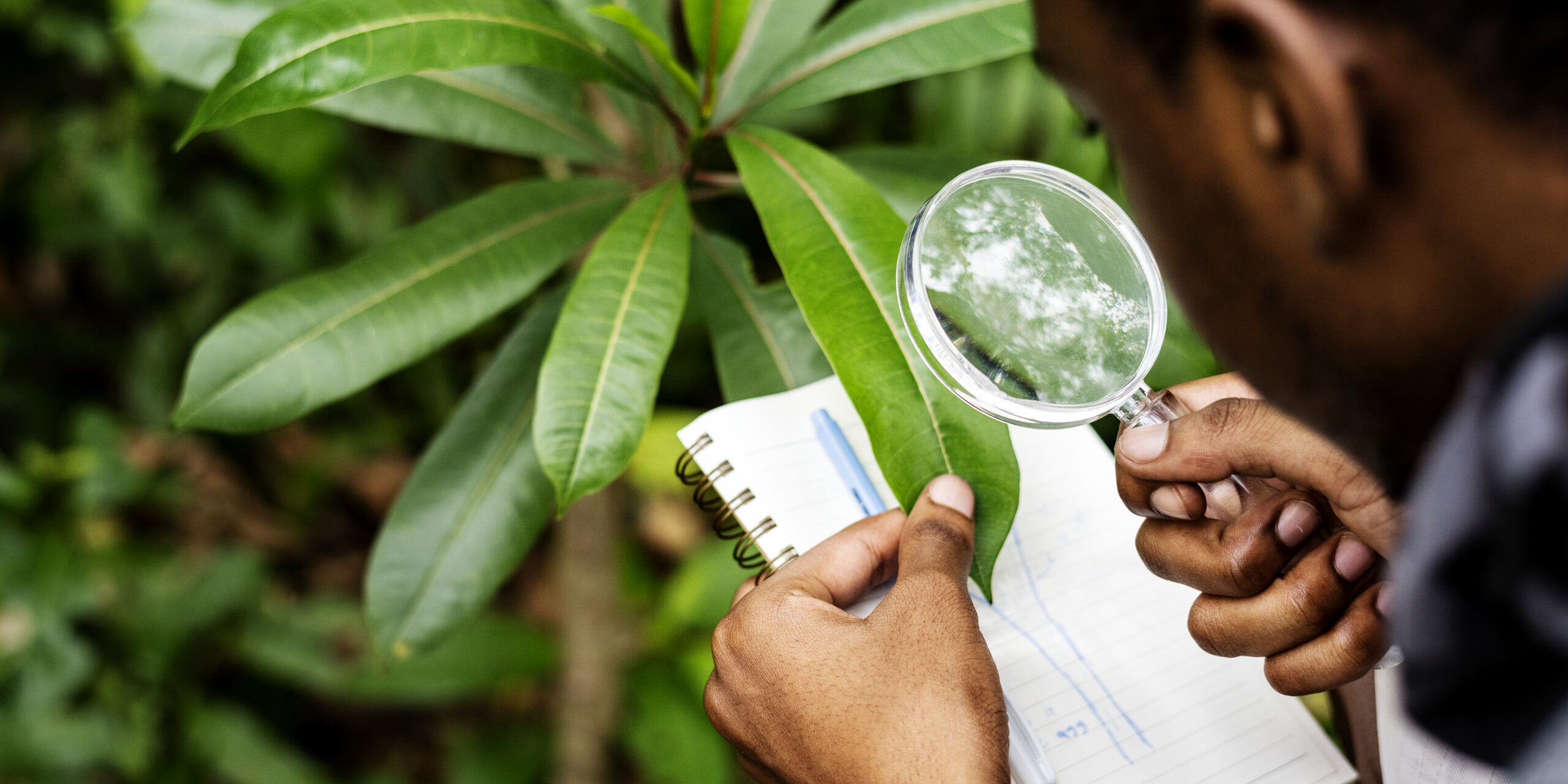 Biologist in a forest
