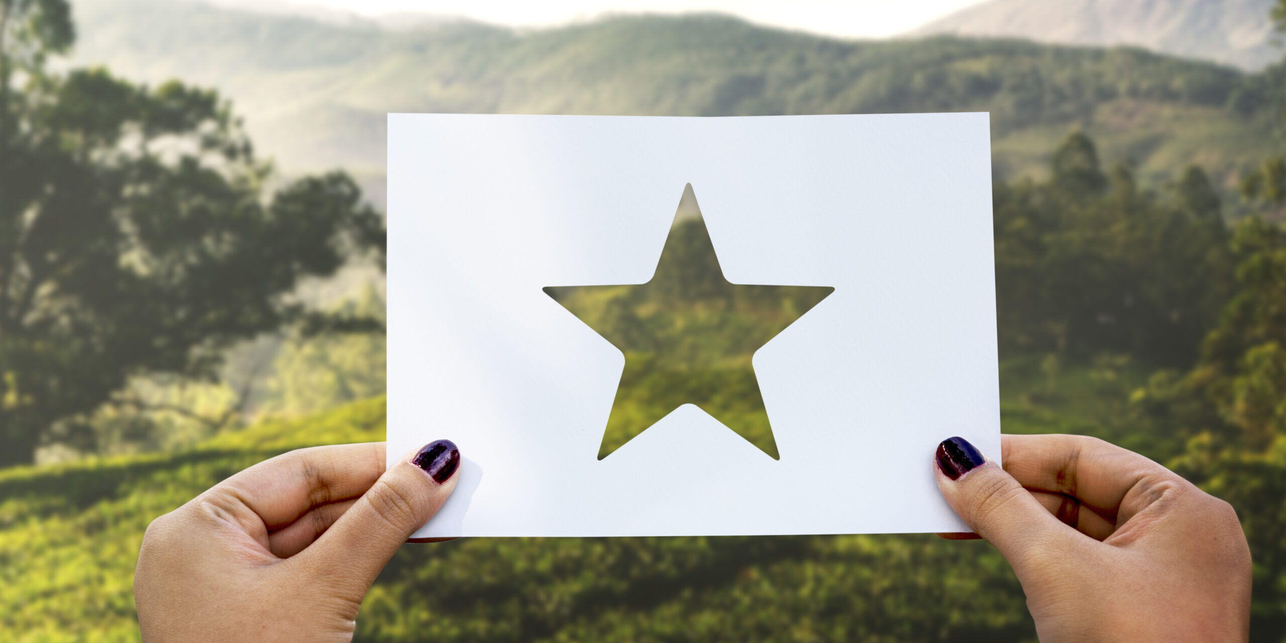 Great excellence reward perforated paper star