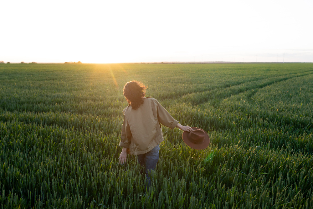 AMI bioéconomie en Hauts-de-France