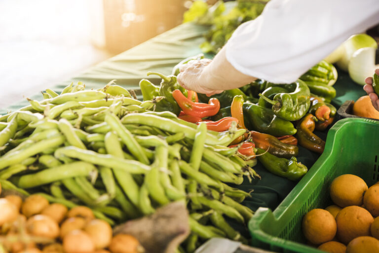 Résilience et adaptations des filières agroindustrielles et agroalimentaires, du champ à l’usine