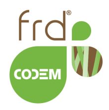 logo FRD-CODEM